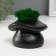 Concrete Kashpo "Mushroom" with moss 10x8x6.5 cm black (moss green stabilized)