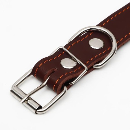 Leather collar on synthetic winterizer, dimensionless, 65 x 3 cm, Osh 22-55 cm, brown-3