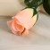 Artificial flowers "rose" 23 cm, peach