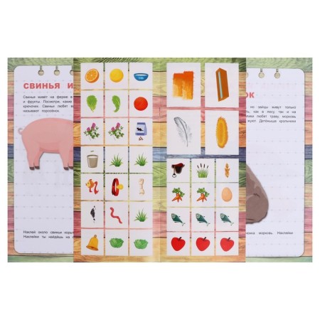 The first knowledge "Pets", with stickers, 21.5 × 28.5 cm, 16 p.-3