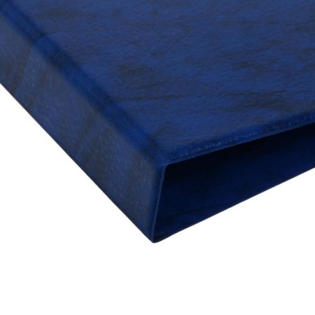 Album for coins on rings, optima format 230 x 265 mm Calligrata, includes up to 20 sheets, covering artificial leather, blue-2