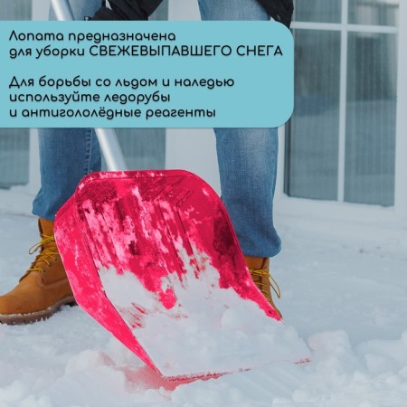 Polycarbonate shovels, 430 × 420 mm, without a bar, with a tuleyka under the stalk, red-5