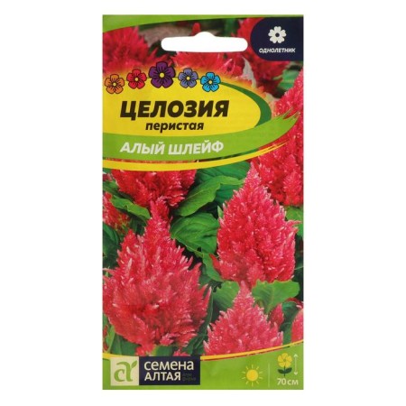 Seeds of flowers CENTISION "Scarlet Shlave", Curricular, Sess. ALT, c/p, 0.2 g