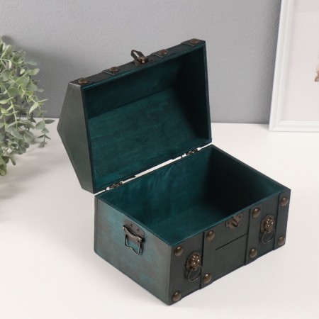 Casket chest "Leon" green 24x17x18.5 cm-3