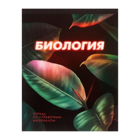 Substantial notebook Calligrata "3D", 48 sheets in a biology cage, with reference material, covered cardboard, unit No. 2, whiteness 75% (gray sheets)
