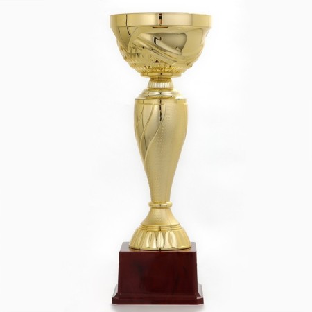 Cup 120C, award figure, gold, plastic stand, 29.5 × 10 × 9.5 cm-3