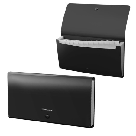 Folder folder, 260 x 138 mm (Travel), 12 departments, 600 μm, Erichkrause "Matt Classic", on the button, embossing "sand", black
