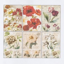 Set of decoupage cards 6 pcs 