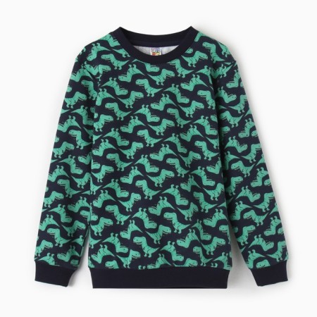 Sweatshirt for a boy, blue color, height 98 cm-4