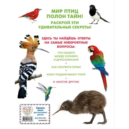 Birds-1