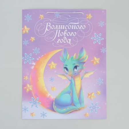 Laminated vertical "Magic" package, l 28 x 38 x 9 cm, new year-4