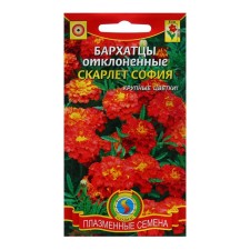 Семена Бархатцы отклоненные "Скарлет София", 3 г