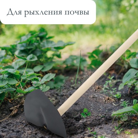 Мотыга остроносая, стальная, с деревянным черенком-3