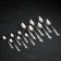 Set of cutlery "Slavyanka", 24 items, decorative box, silver color