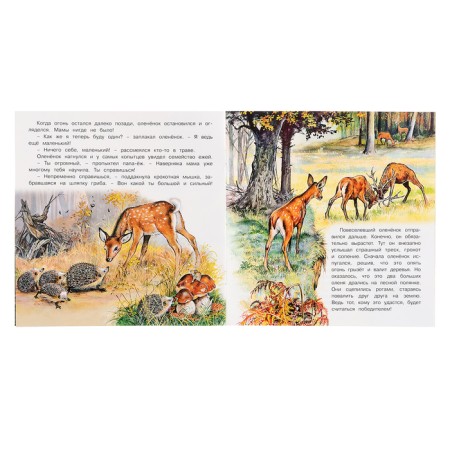 “We know the world around us. Adventures of the Olena ”, 16 p.-2