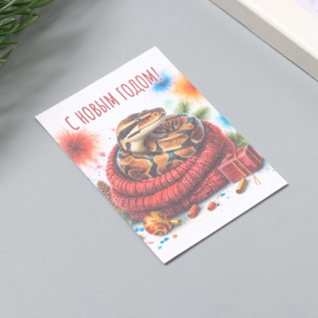 A postcard with the seeds "grow itself" "Happy New Year!" Snake 5*7cm-1