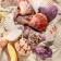 Set of shells Pecten Vequilum medium, 4 - 6 cm, 100 g