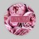A set of hats for colors 4 in 1, gift packaging, “peonies”, 20 x 17.5 - 16 x 14 cm