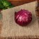 Flood "Red cabbage" 10 cm