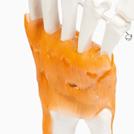 Model "Human Business" 22*12cm-6