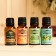 A set of essential oils 4 pcs of fir, bergamot, orange, tea tree, 17 ml, "benpar"