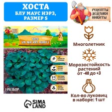 Хоста "Blue Mouse Ears", р-р I, размер S,1 шт,