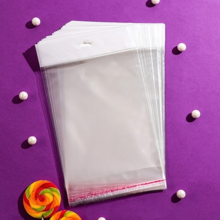 BOPP package with adhesive valve, transparent 16 x 20/4 cm, 25 μm