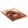Diary for grades 1-4, "robot of the future", solid cover 7BC, glossy lamination, 48 sheets