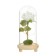 Nightnik Sobe "Rosa White" Led 3aaa 10x10x20 cm Risalux