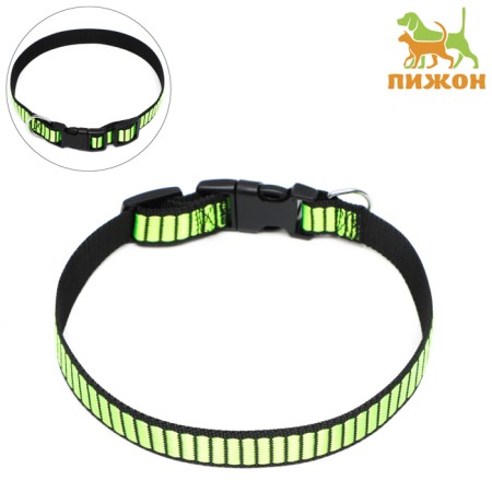 Collar "reef", width 2 cm, green