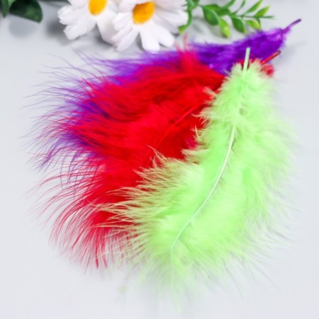 A set of decorative feathers of turkeys "needlework", assorted 4, 20 pcs, pen length 13-16 cm-2