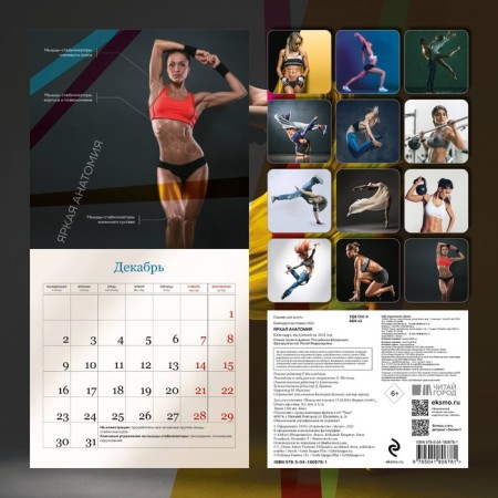 Bright anatomy. Wall calendar for 2024, 30x30 cm-1