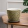 Flower Pot "Fan" yellow bud No. 3 2.15 liters