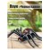 Spider Radio -controlled "Black Widow", works from batteries