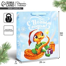 Package Gift New Year Laminated 