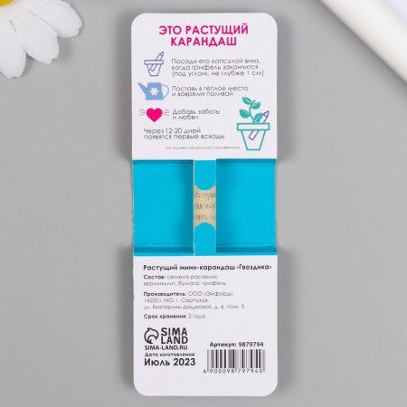 Growing gift pencils mini "clove"-1