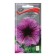 Grandiflora flowers "Daddy Orchid" 10 pcs