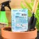 White cabbage seeds "Glory 1305", 0.5 g