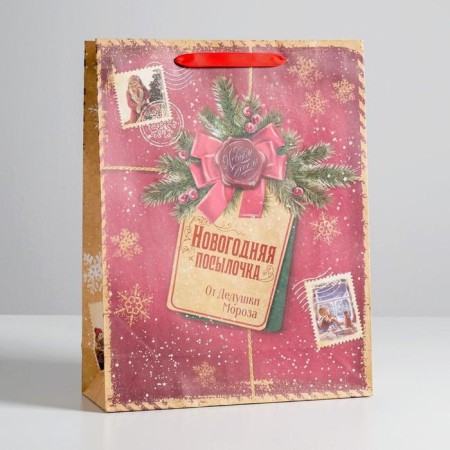Craft vertical package “New Year's package from Grandfather Frost”, l 31 x 40 x 9 cm, new year-1