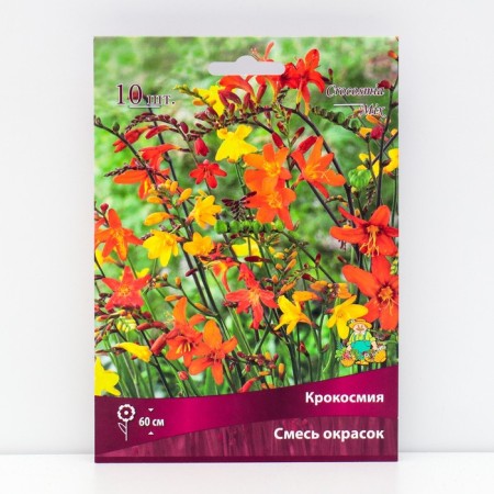 Crocosmia mixture of colors, 10 pcs, rr 6/7, spring 2024