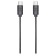 Microphone Wended Audio-Technica ATR2100X 2M black