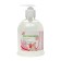 Liquid hygienic soap Absolute Tender Care with a dispenser of 0.5l