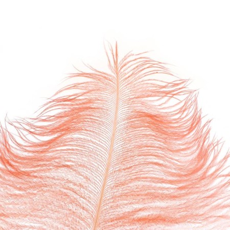 Feather for decor, length from 45 to 60 cm, color is powdery-1