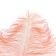 Feather for decor, length from 45 to 60 cm, color is powdery