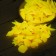 Decorative figures for the aquarium, luminous, "sea inhabitants", 3 - 5 cm, 200g, coral