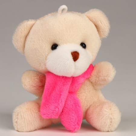 Soft toy in the bag "Bear"-2