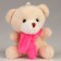 Soft toy in the bag "Bear"