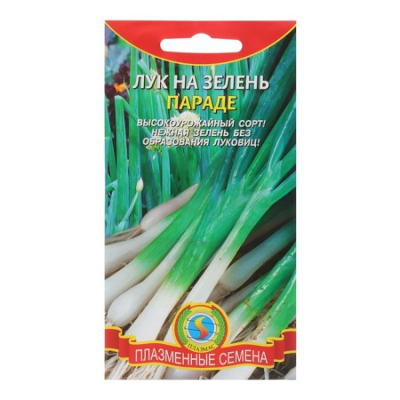 Semen onions "Parade", 80 pcs.