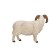 Figure Konik "Scottish black -headed ram"