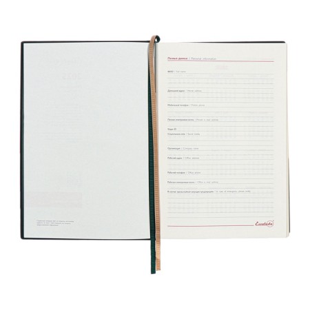 Dated 2025 diary, A5, 176 sheets of Escalada, solid cover of artificial leather, 3D design, embossing foil, lies, cream block 70 g/m2, green-6